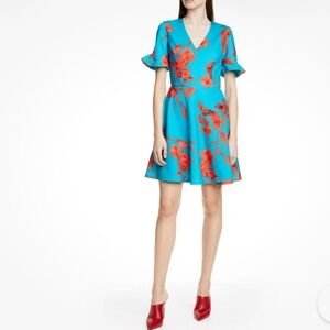 Ted Baker London floral Chynaa Fantasia V-Neck Skater Dress Ted's Size 4